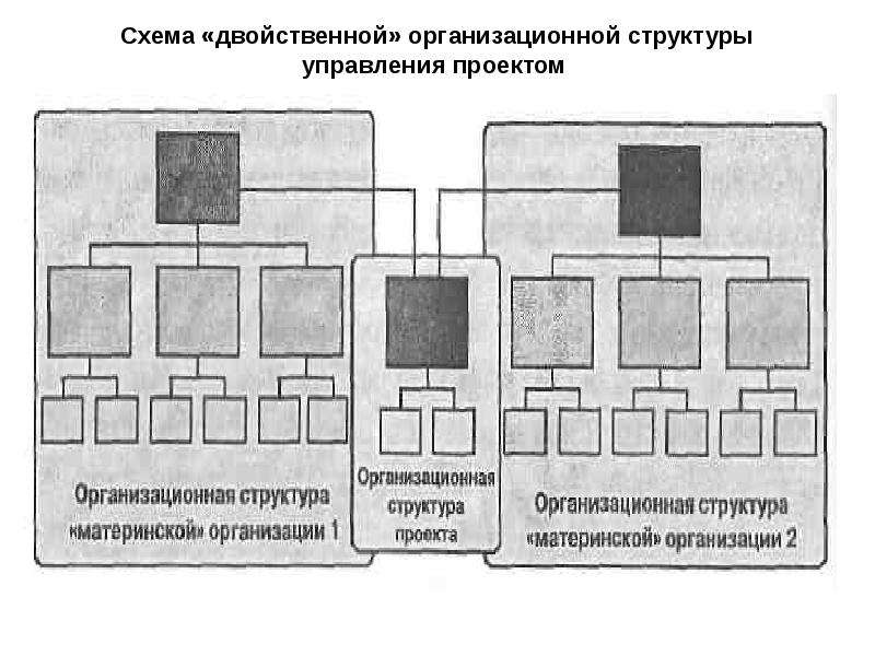 Организационные структуры управления проектами реферат