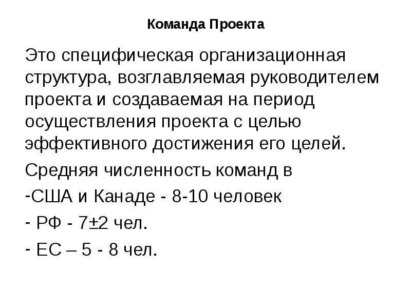 Специфическая организационная структура возглавляемая руководителем проекта