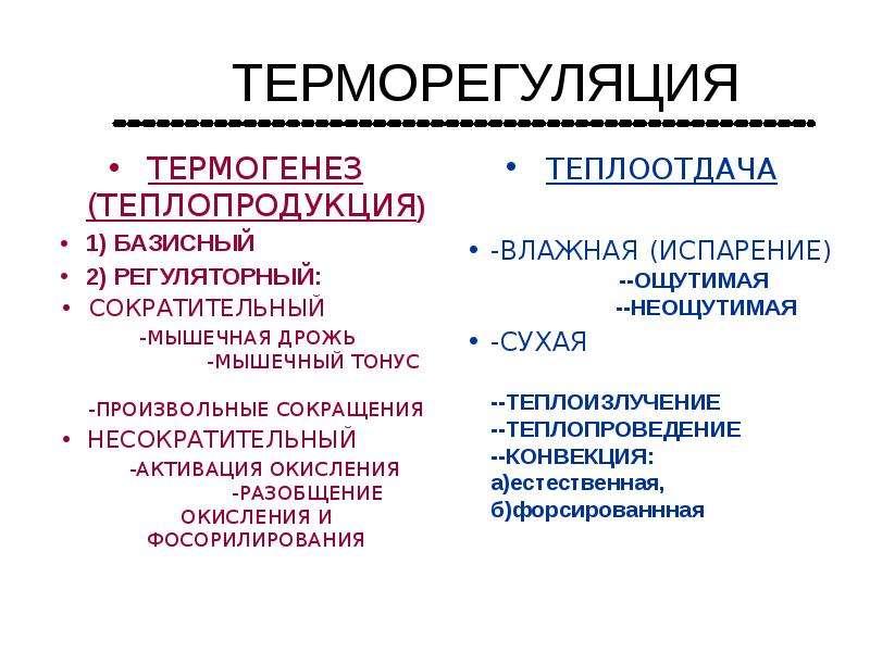 Схема терморегуляции физиология