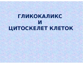ГЛИКОКАЛИКС И ЦИТОСКЕЛЕТ КЛЕТОК