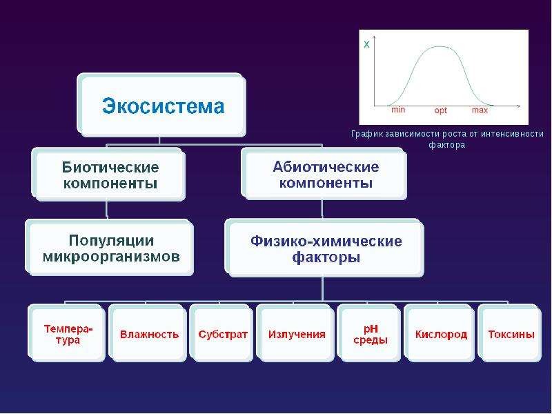 Экология микроорганизмов презентация