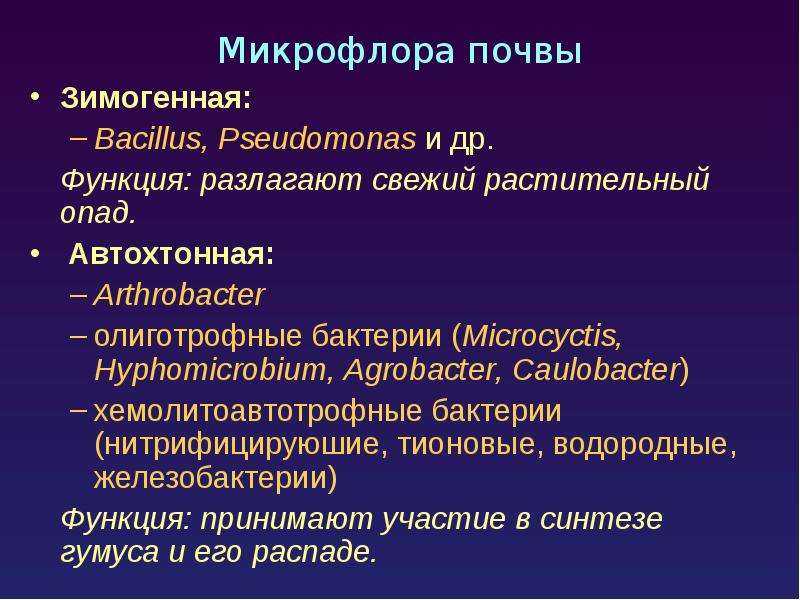 Микрофлора почвы презентация