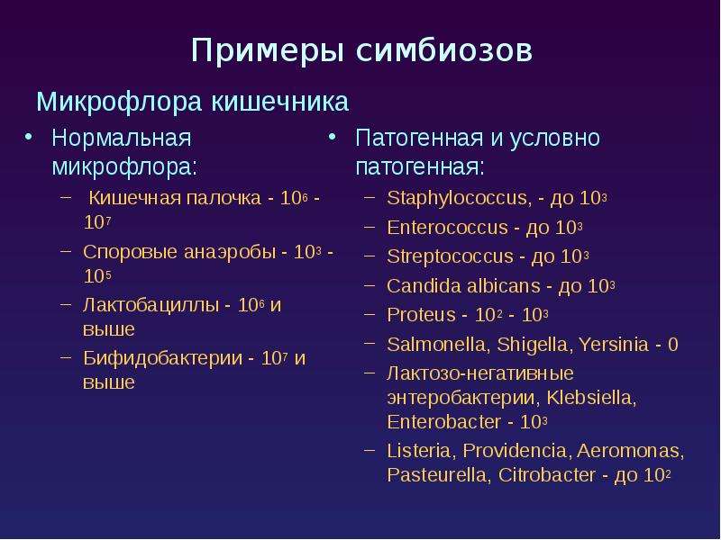 Экология микроорганизмов презентация