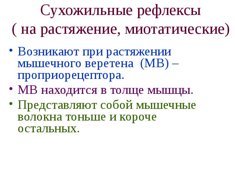 Сухожильные и миотатические рефлексы. Рефлекторный принцип деятельности ЦНС. Принципы рефлекторной деятельности. Миотатические рефлексы.