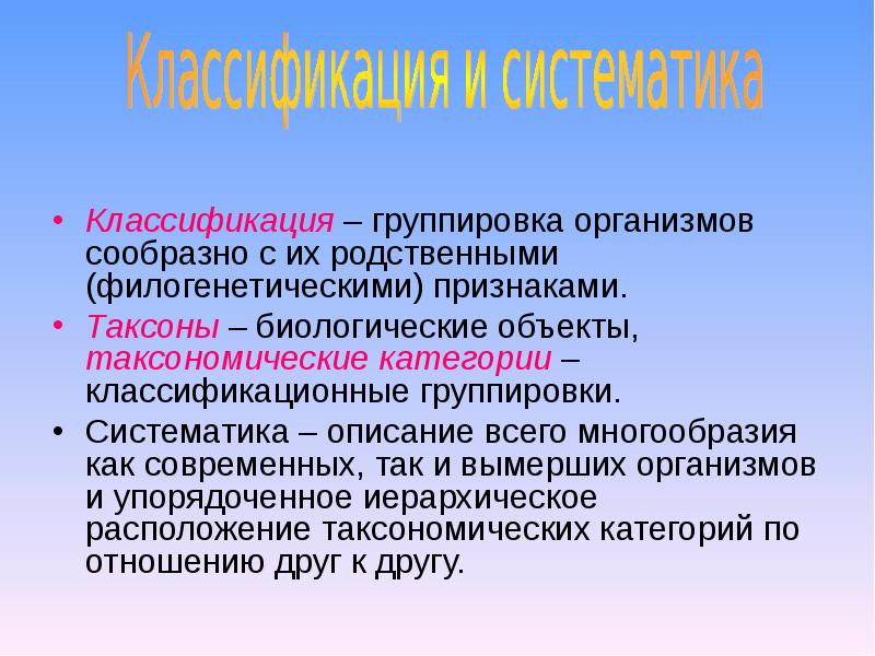 Группировка классификация группировок. Классификация группировок. Классификационные группировки. Сущность и классификация группировок. Территориальные группировки организмов.