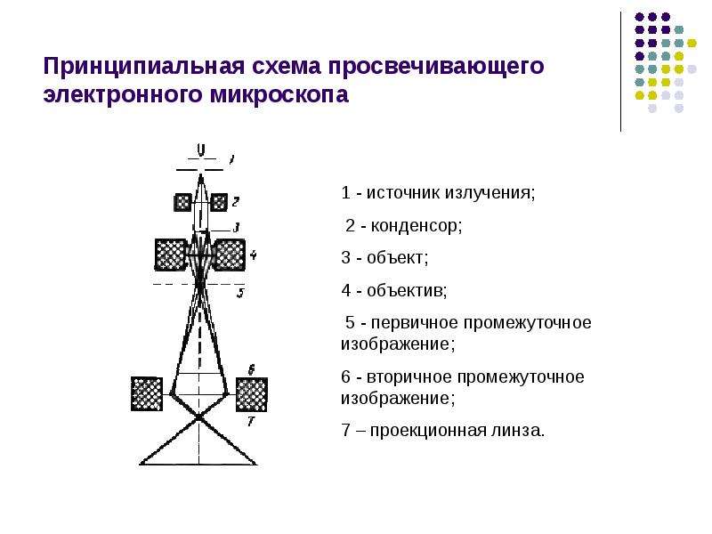 Просвечивающий электронный микроскоп схема