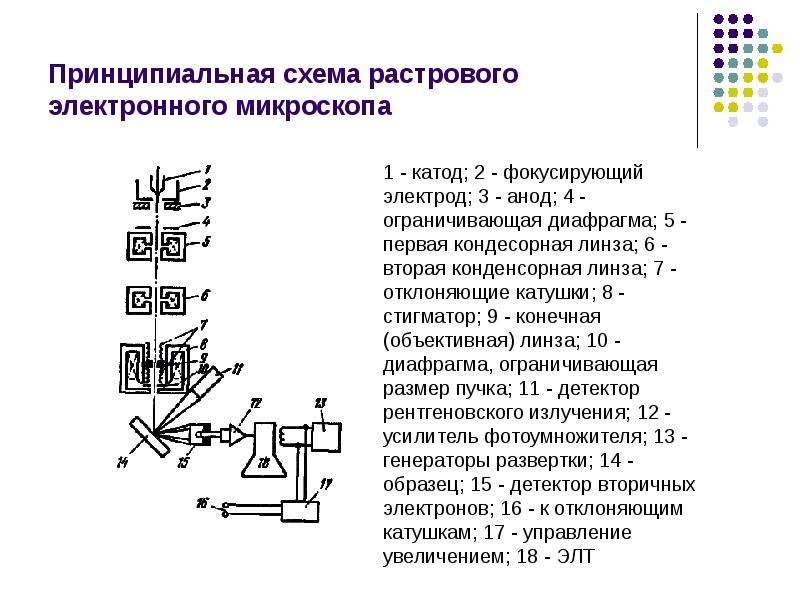 Принципиальная схема растрового сканирующего электронного микроскопа при работе в режиме рма