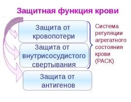 Гемостаз