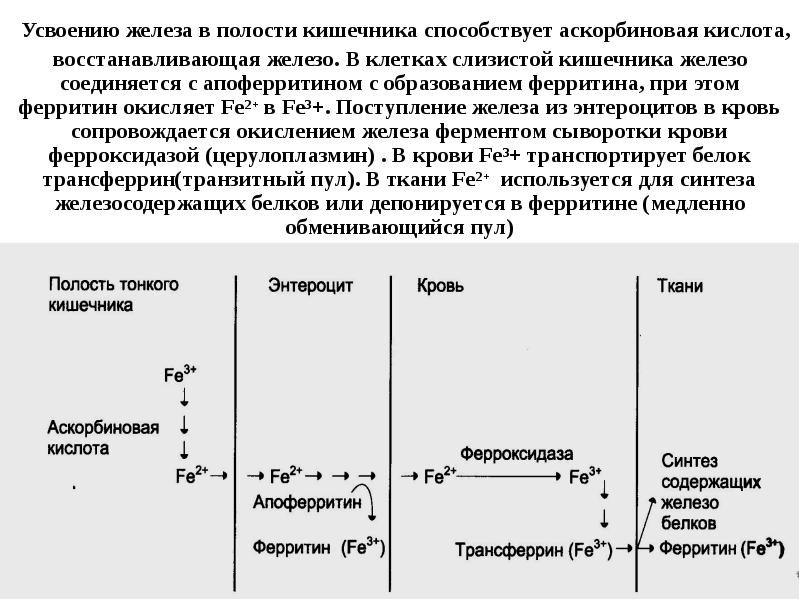 Нарушение всасывания железа