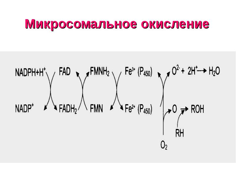 Схема микросомального окисления биохимия