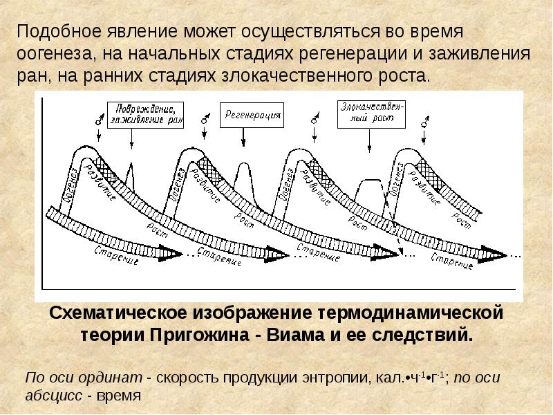 Неравновесная термодинамика презентация