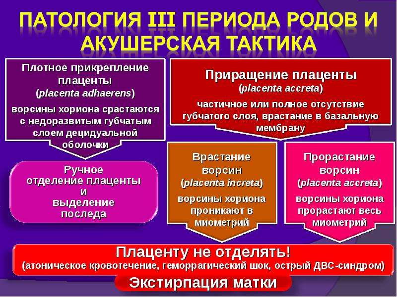 Патология последа презентация