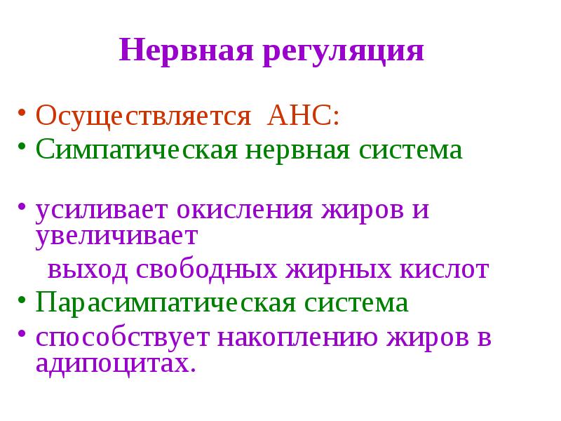 Принципы регуляции. Нервная регуляция усиливает. Нервная регуляция обмена веществ симпатическая. Нервная регуляция обмена веществ парасимпатическая. Анс расшифровка с нервной системой.