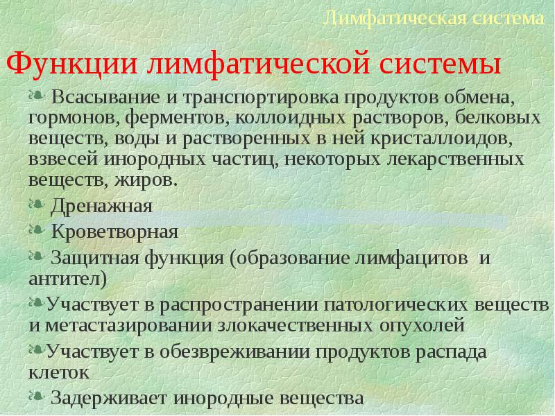 Лимфатическая система функции. Функции лимфатической системы. Дренажная функция лимфатической системы. Депонирующая функция лимфатической системы. Защитная функция лимфатической системы.