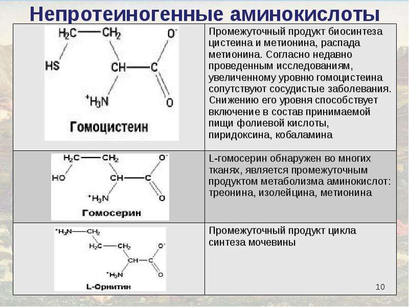 Аминокислоты относятся к соединениям. Аминокислоты. Непротеиногенный аминокислот. Орнитин непротеиногенная аминокислота. Аминокислоты примеры.