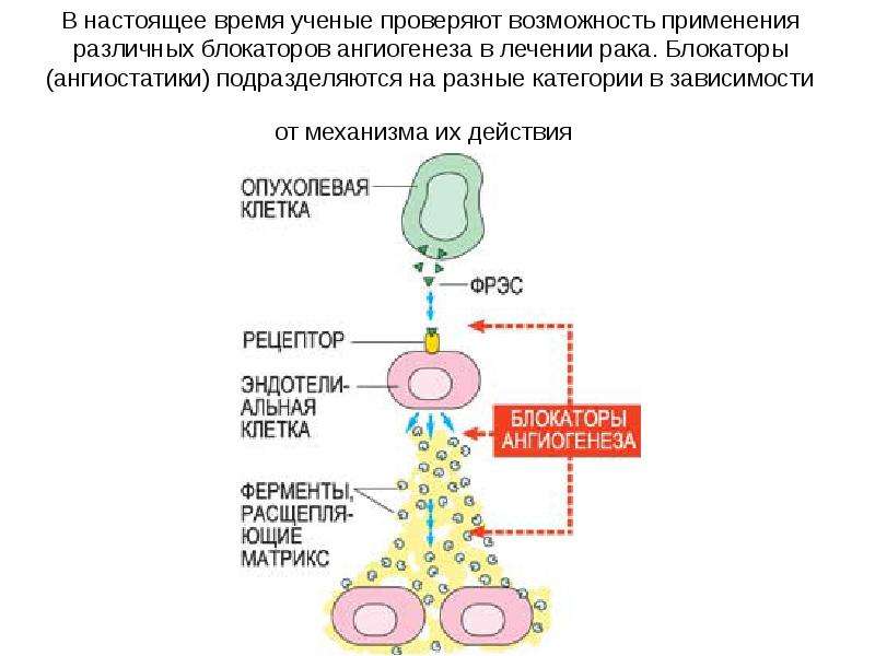 Контролируемая доставка факторов ангиогенеза презентация