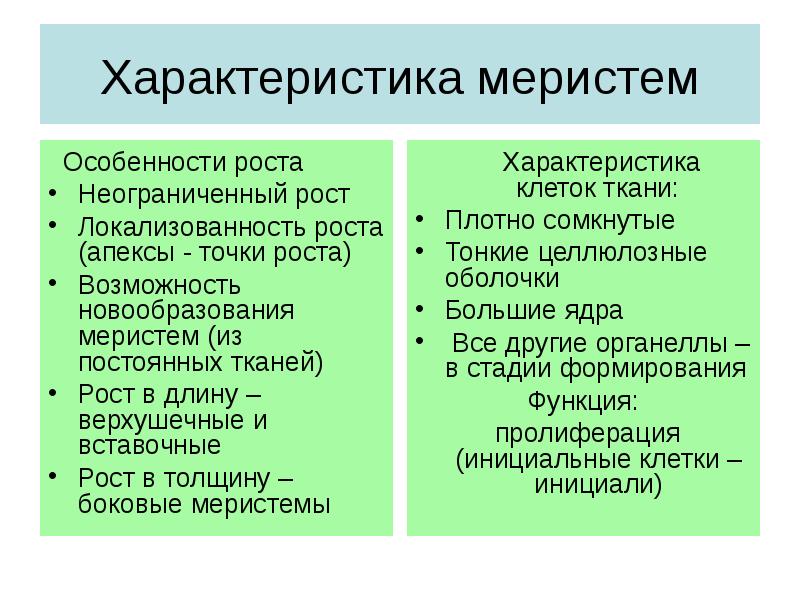 Характеристика роста. Характеристика меристем. Особенности меристемы. Особенности клеток меристемы. Меристема свойства.