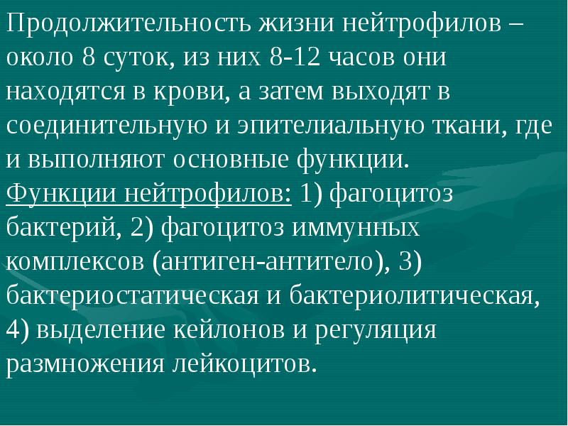 Продолжительность жизни лейкоцитов