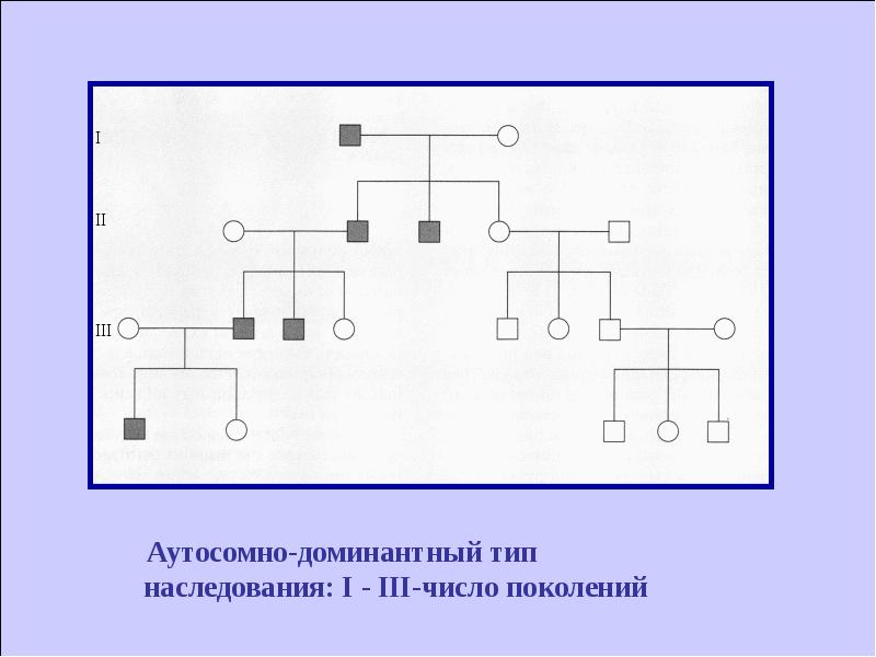 Генетическая 2. Прибор генетика 02.02. Генетика 02.02. Генетика 02.