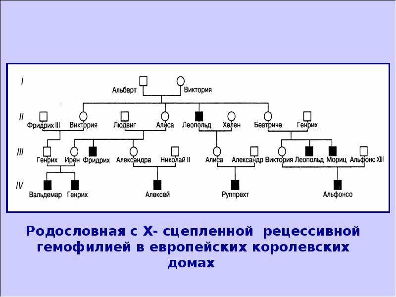 Генетическая 2. Родословная по группе крови. Родословная по группе крови генетика. Генетика 02.02.