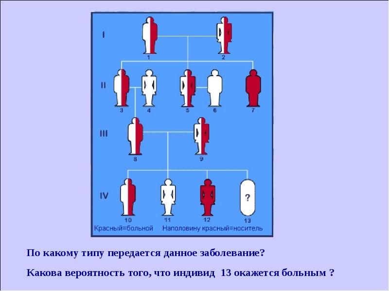 Генетическая 2