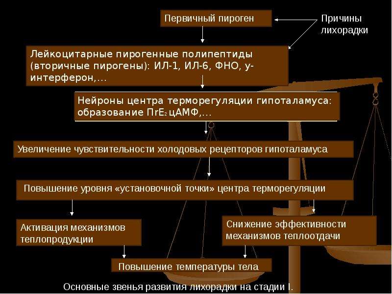 Воспаление лихорадка презентация