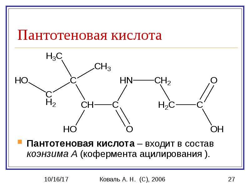 Пантотеновая кислота картинки