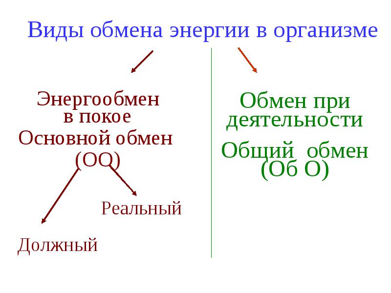 1 не обладают собственным обменом веществ