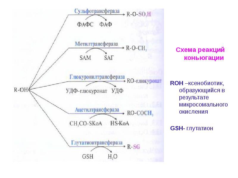 Схема реакций геншин