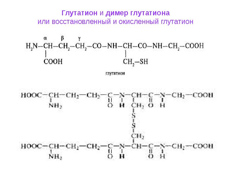 Глутатион что это. Глутатион окисленный и восстановленный формулы. Глутатион биохимия строение. Трипептид глутатион функции. Химическая структура глутатиона.