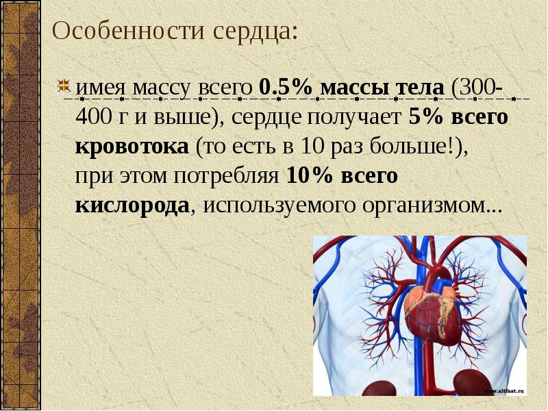 Сердечный иметь. Особенности сердца. Специфика сердца. Особенности сердца у детей. Особенности работы сердца.