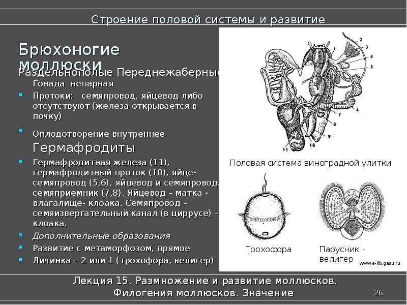 Строение 26