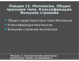 Моллюски