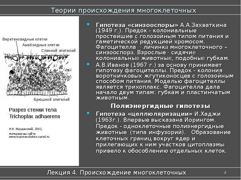 Презентация происхождение животных