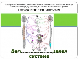 Морфология вегетативной нервной системы