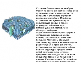 Строение и функции мембран