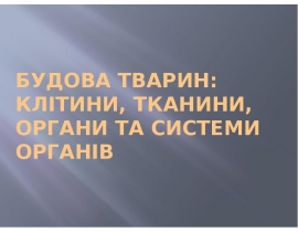 Будова тварин