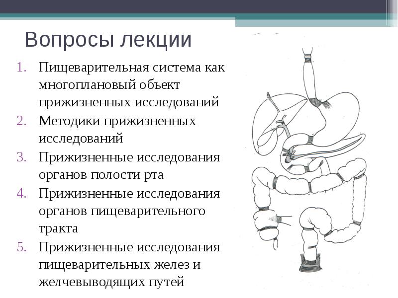 Исследование органов пищеварения у детей. Методы исследования пищеварительной системы. Методы исследования органов пищеварения у детей. Методы обследования органов пищеварительной системы. Методы исследования пищеварительной системы картинки.