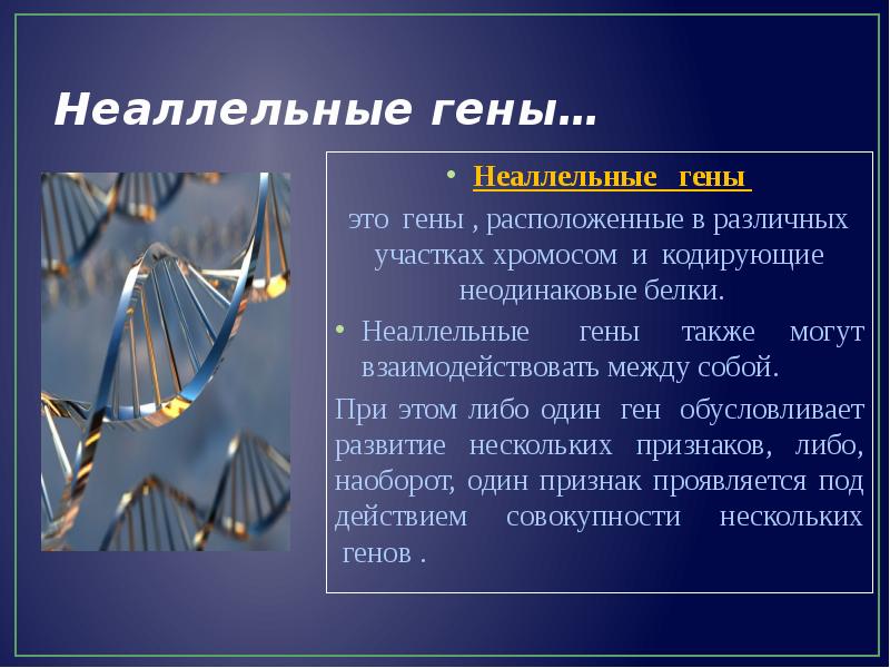 Гены расположенные в идентичных. Неаллельные гены. Не аллельные гены. Неаллельные гены это гены. Неаллельные гены это гены расположенные в.