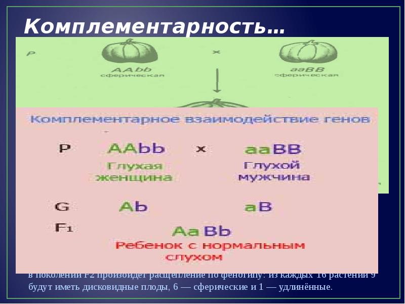 Неаллельное взаимодействие генов презентация 10 класс