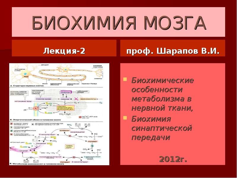 Что такое биохимия. Биохимия. Биохимия презентация. Метаболизм нервной ткани биохимия. Метаболизм мозга биохимия.