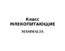 Класс МЛЕКОПИТАЮЩИЕ MAMMALIA