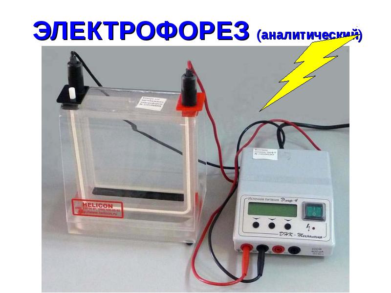 Электрофорез белков презентация