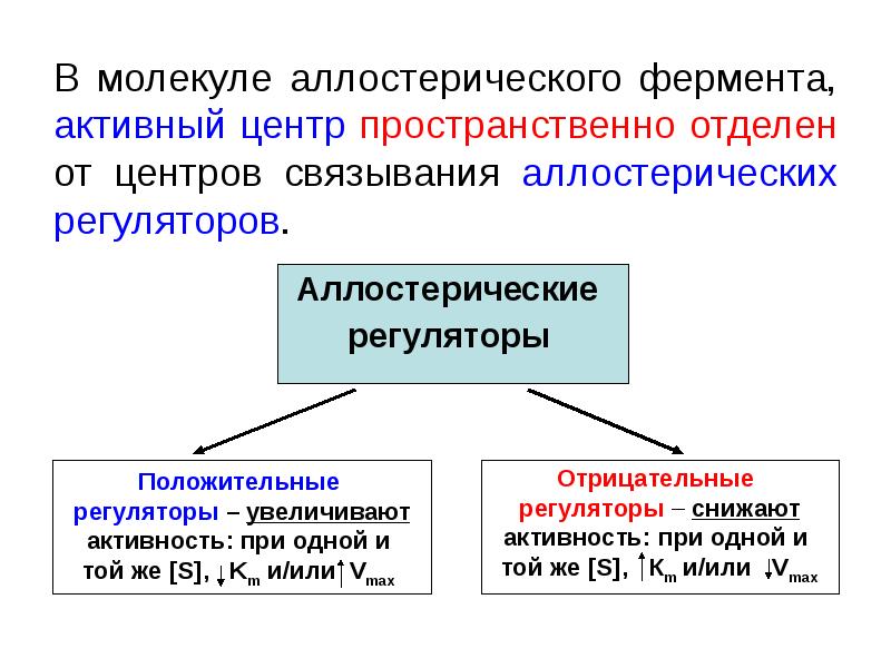 Аллостерическая регуляция активности ферментов