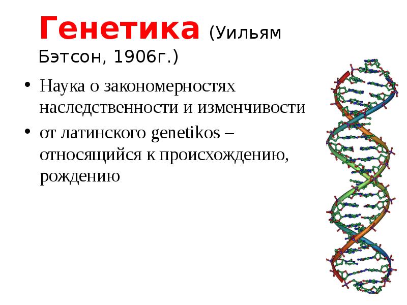 Презентация основы генетики 10 класс