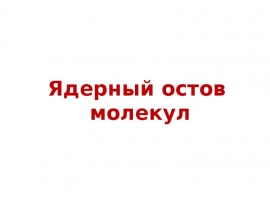 Ядерный остов молекул