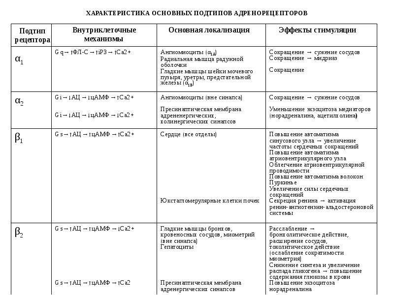 Презентация адреномиметики по фармакологии