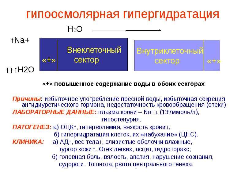 Избыточная секреция. Механизм развития гипоосмолярной гипергидратации. Причины изоосмолярной гипогидратации. Причины гипоосмолярной гипогидратации. Гипергидратация патогенез.