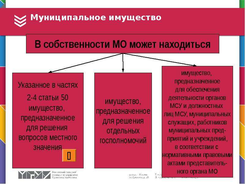 Проект по муниципальному праву