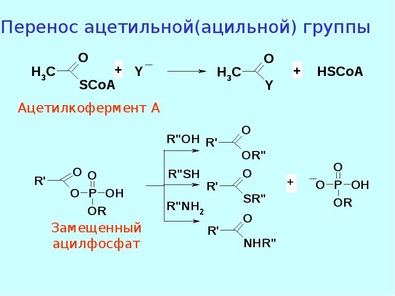 Карбоновые кислоты и их производные презентация